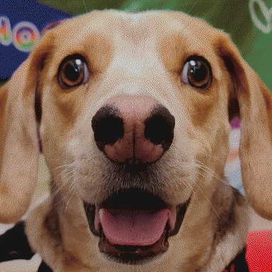 og-network_MAPART_160